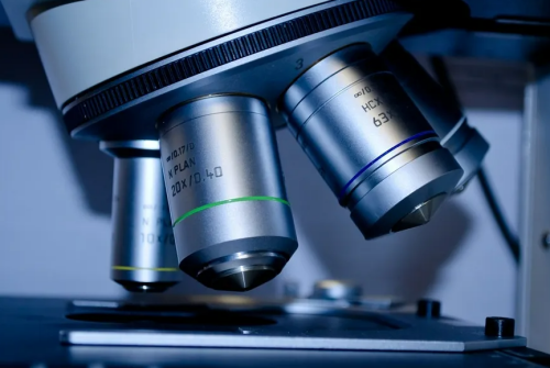 智博足球官网入口1919网址