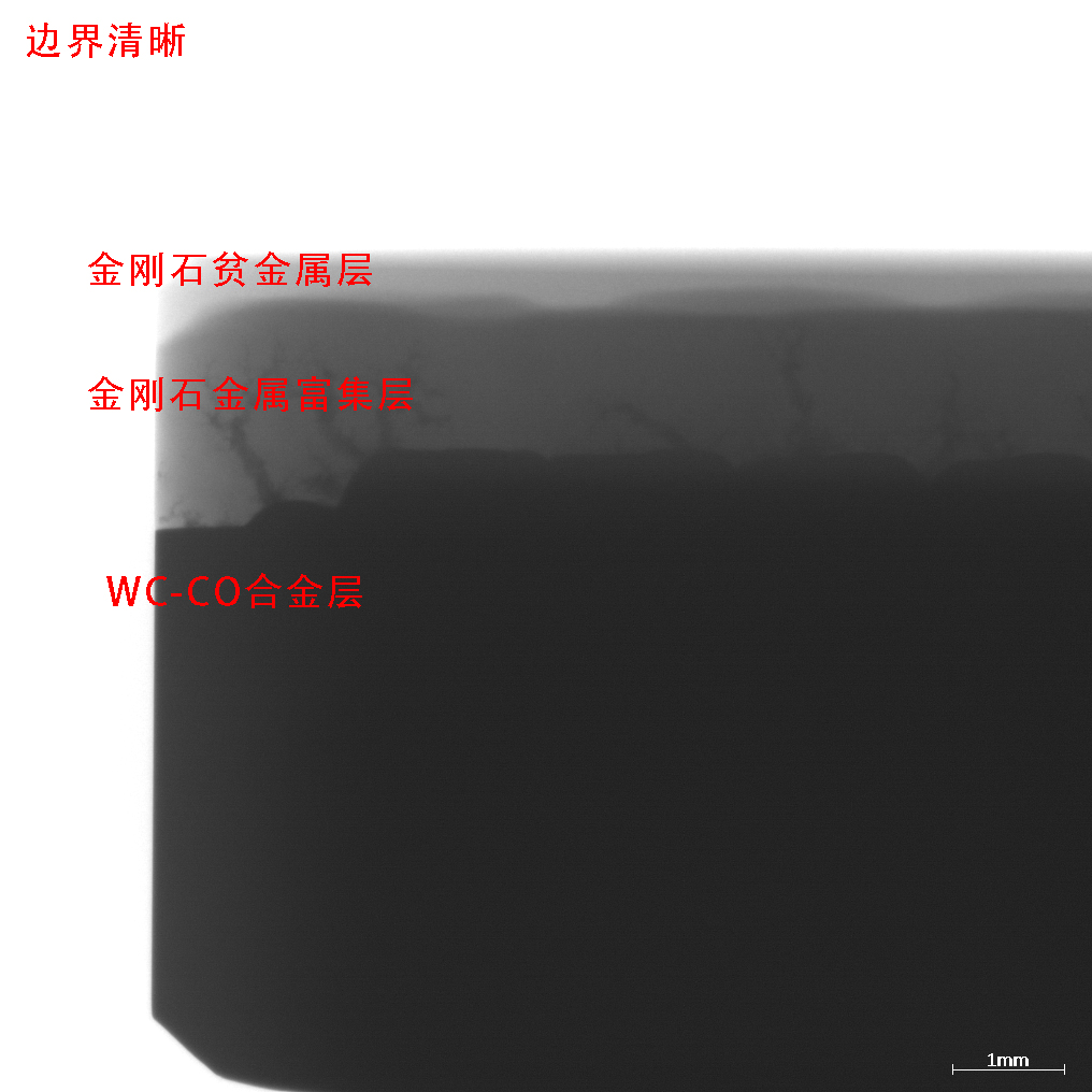 中国·3044永利集团