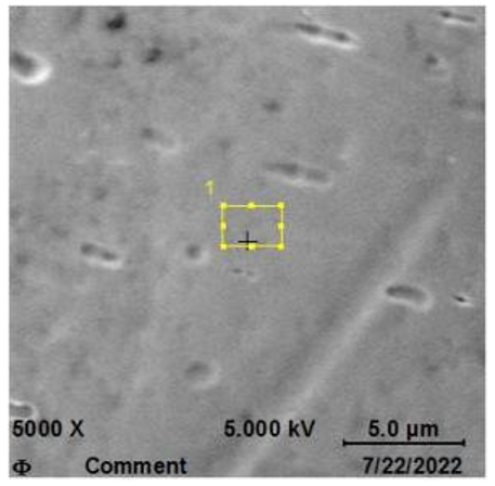 中国·3044永利集团