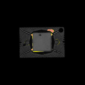 东莞智博足球官网入口1919网址实验室