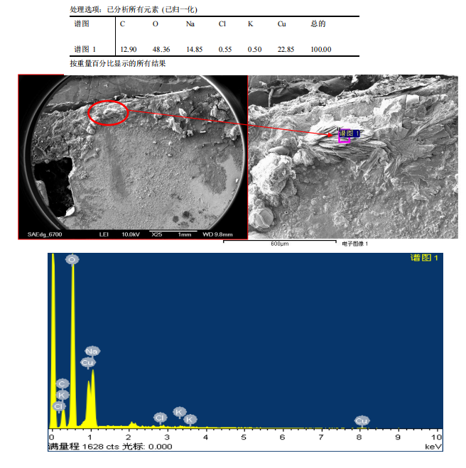 华南检测|SEM EDS成分分析|13926867016 华南检测|SEM EDS成分分析|13926867016