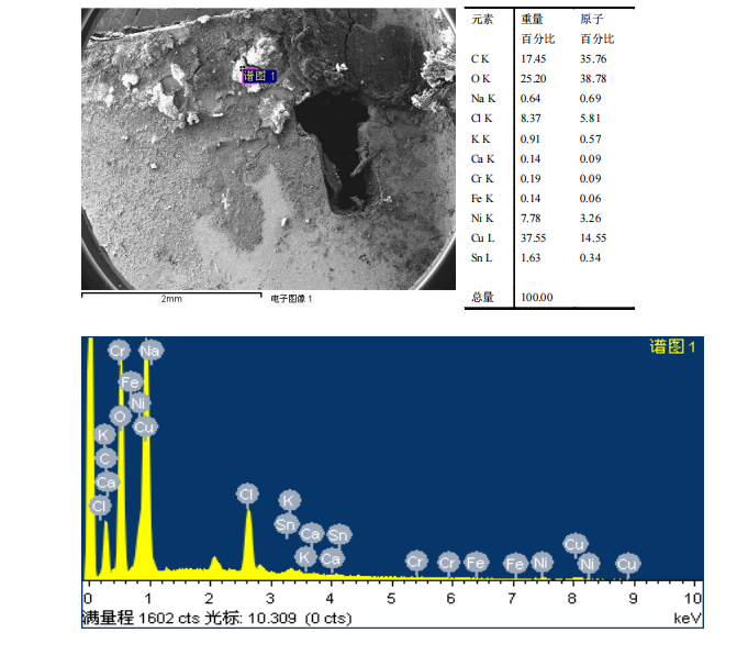 华南检测|扫描电镜检测|EDS能谱检测 华南检测|扫描电镜检测|EDS能谱检测