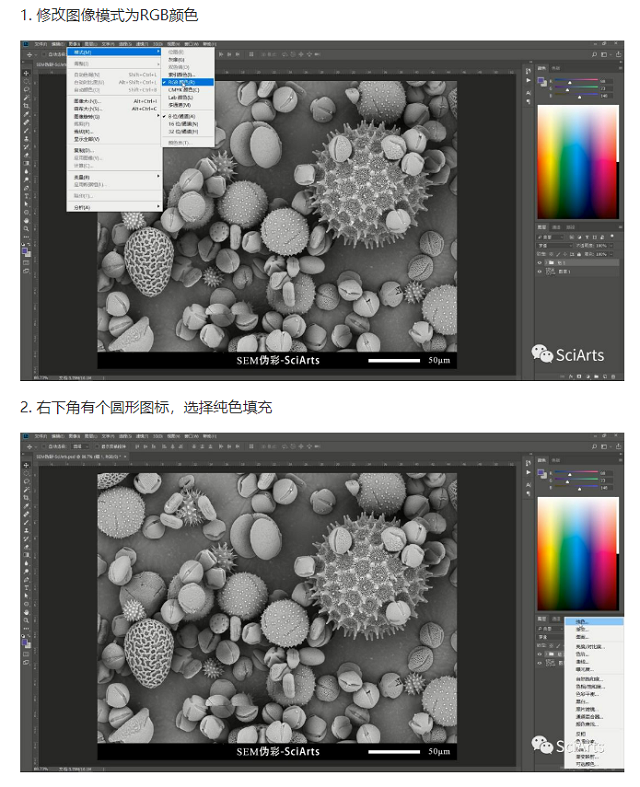 扫描电镜 扫描电镜