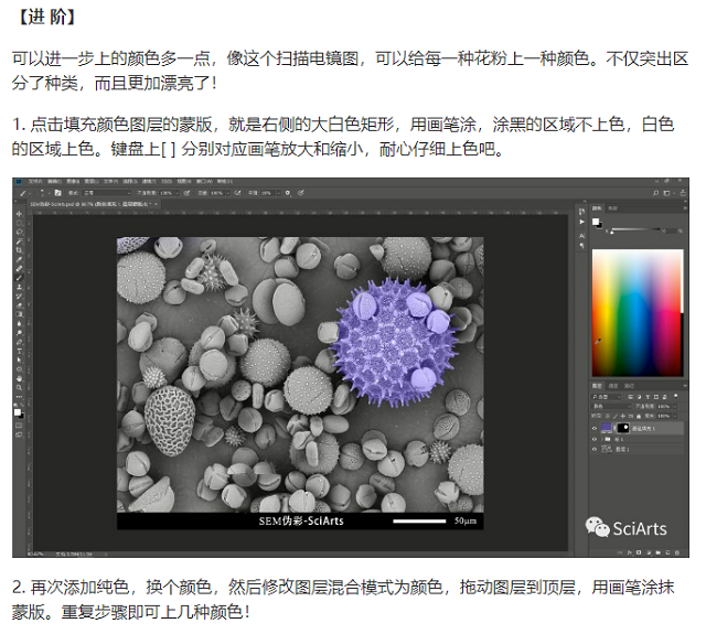 扫描电镜 扫描电镜