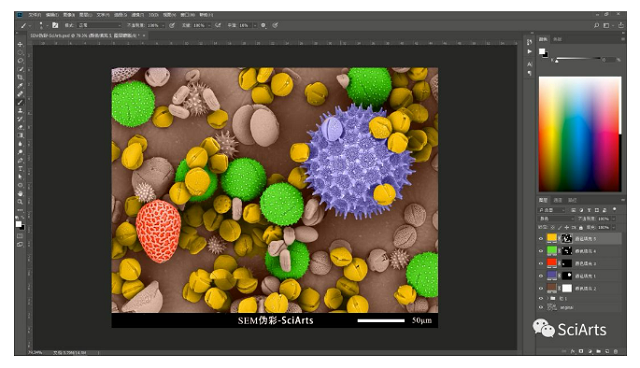 扫描电镜 扫描电镜