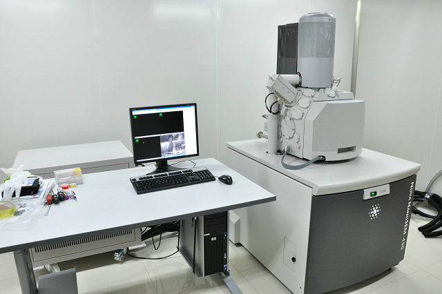 扫描电镜 扫描电镜