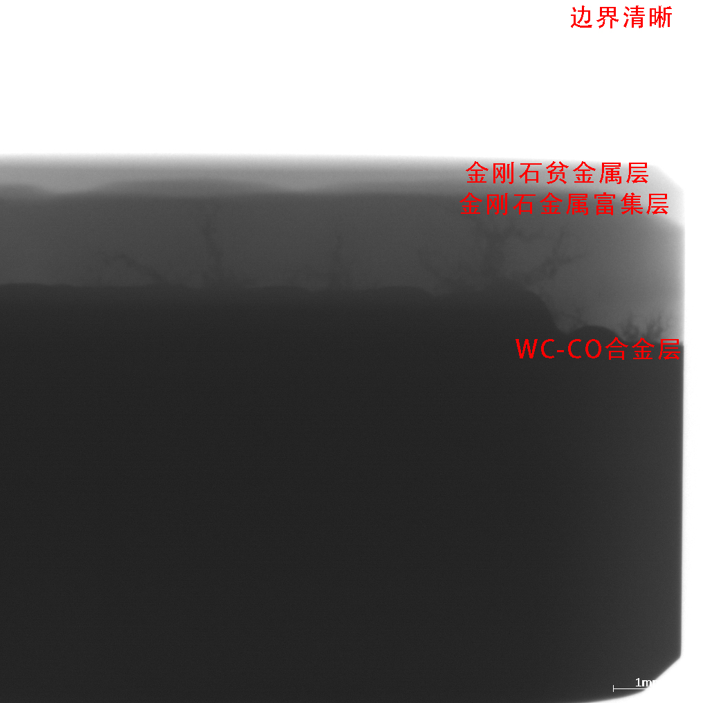 1658454971307603.jpg 1658454971307603.jpg