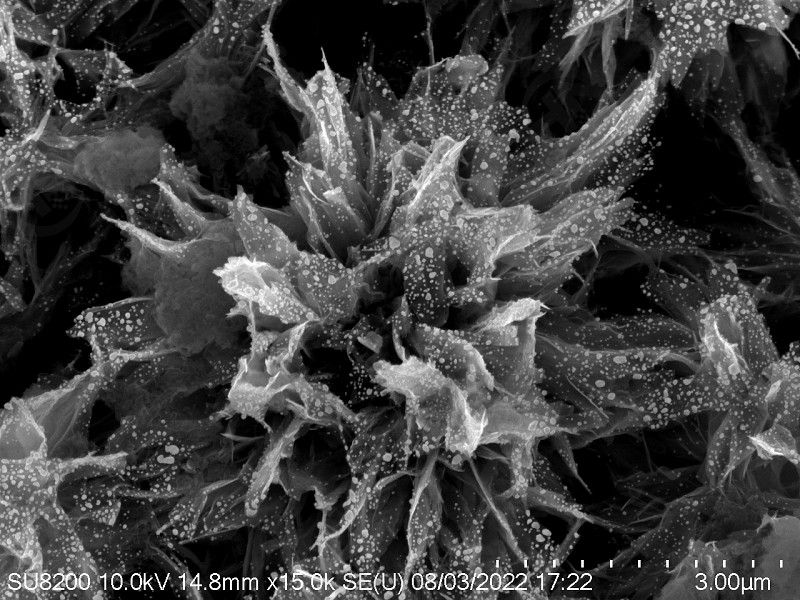 TiO2复合材料表面微观形貌分析检测 TiO2复合材料表面微观形貌分析检测