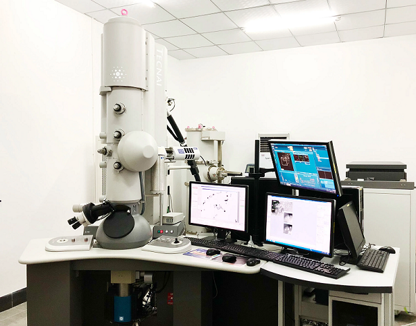 场发射扫描电镜 场发射扫描电镜