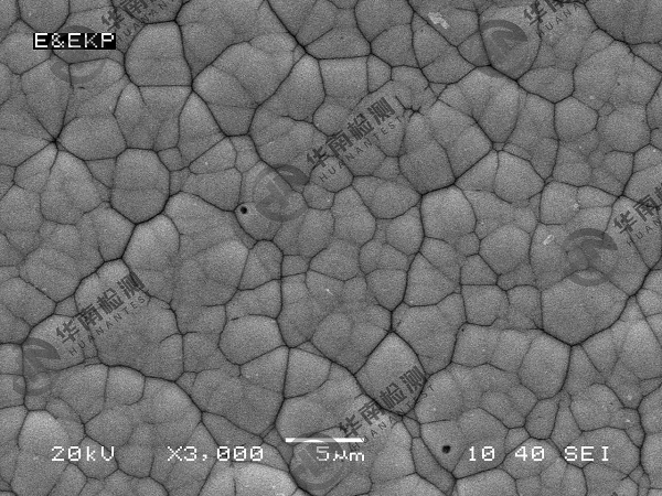 扫描电子显微镜SEM在智博足球官网入口1919网址中的应用