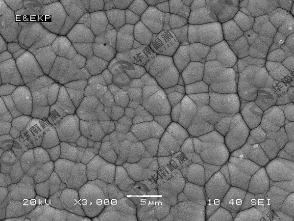 扫描电子显微镜SEM在智博足球官网入口1919网址中的应用