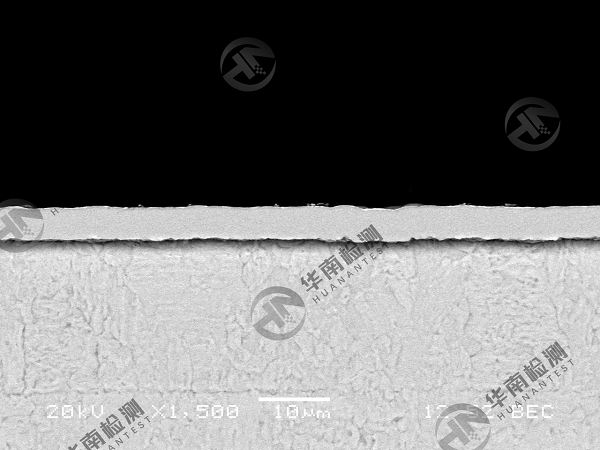 扫描电子显微镜SEM在智博足球官网入口1919网址中的应用