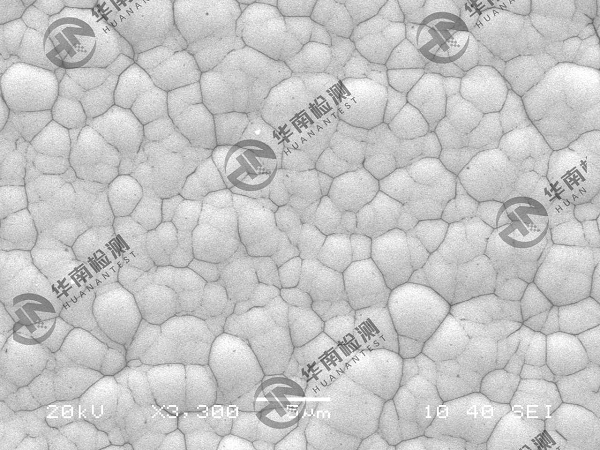 扫描电子显微镜SEM在智博足球官网入口1919网址中的应用