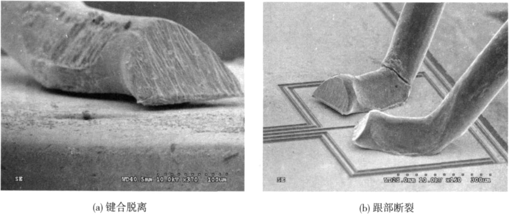 智博足球官网入口1919网址图片