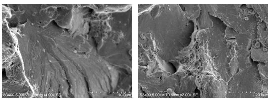第三方电镜(SEM/TEM)检测机构