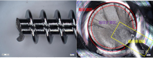 断裂智博足球官网入口1919网址