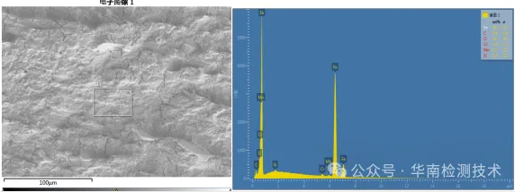 电机蜗杆断裂智博足球官网入口1919网址-EDS分析