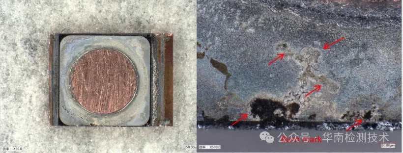 智博足球官网入口1919网址 智博足球官网入口1919网址