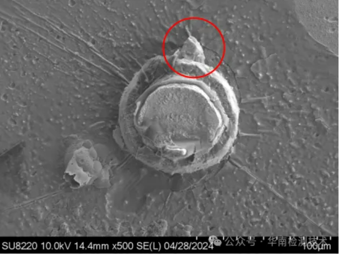 LED智博足球官网入口1919网址