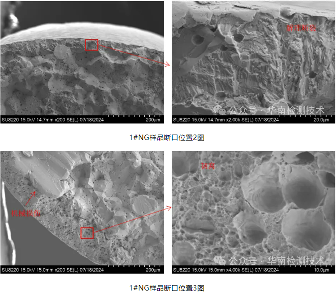 断裂智博足球官网入口1919网址