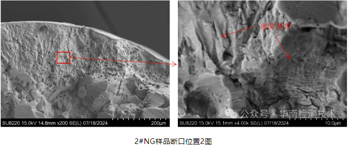 断裂智博足球官网入口1919网址