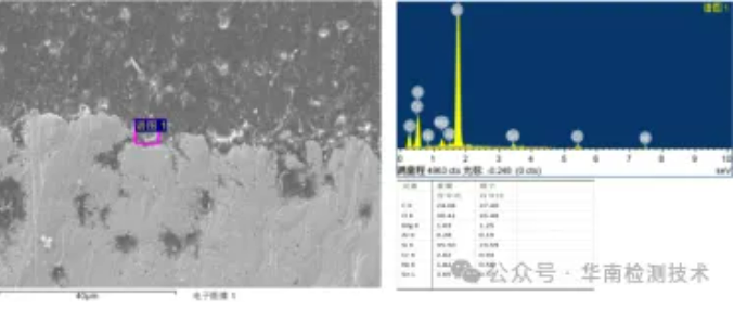智博足球官网入口1919网址机构