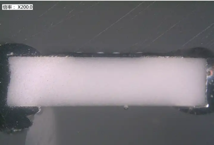 智博足球官网入口1919网址机构