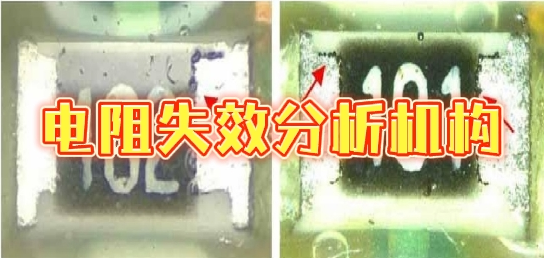 智博足球官网入口1919网址机构