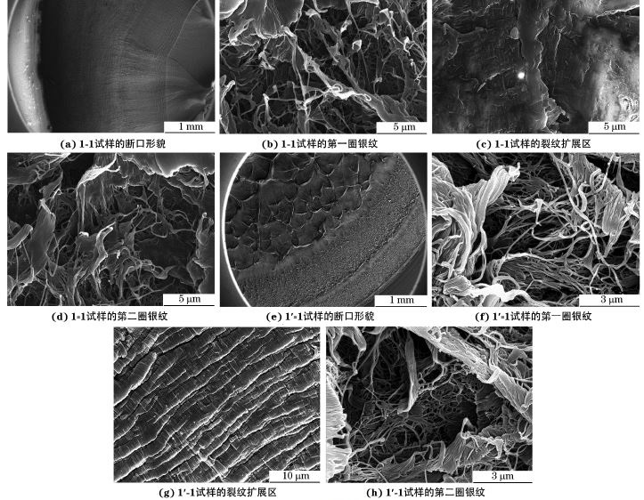 金属材料及零部件智博足球官网入口1919网址