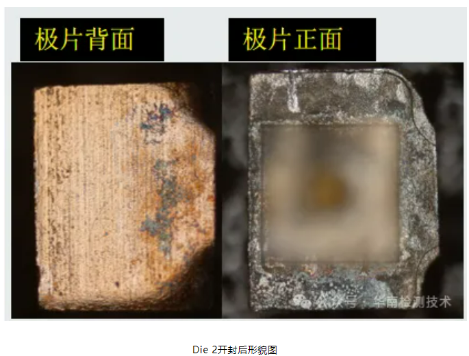 银枝生长导致短路智博足球官网入口1919网址 银枝生长导致短路智博足球官网入口1919网址