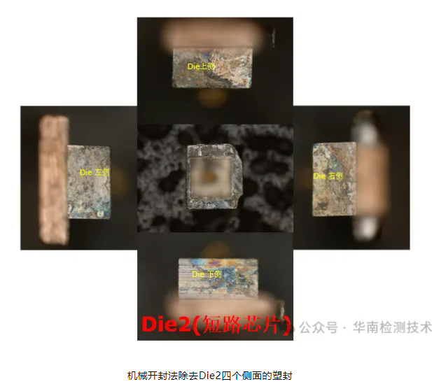 银枝生长导致短路智博足球官网入口1919网址 银枝生长导致短路智博足球官网入口1919网址