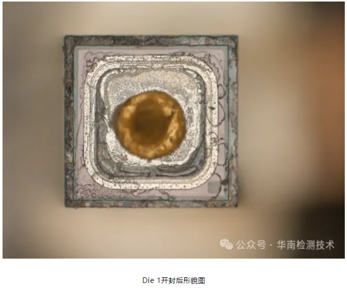 银枝生长导致短路智博足球官网入口1919网址 银枝生长导致短路智博足球官网入口1919网址