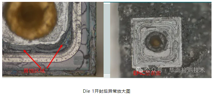 银枝生长导致短路智博足球官网入口1919网址 银枝生长导致短路智博足球官网入口1919网址