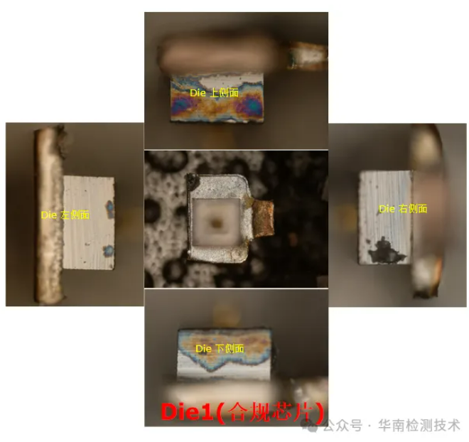 银枝生长导致短路智博足球官网入口1919网址 银枝生长导致短路智博足球官网入口1919网址