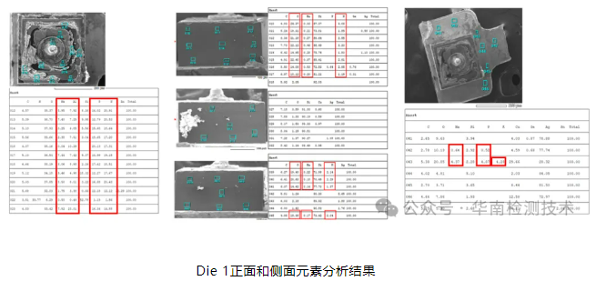 银枝生长导致短路智博足球官网入口1919网址 银枝生长导致短路智博足球官网入口1919网址