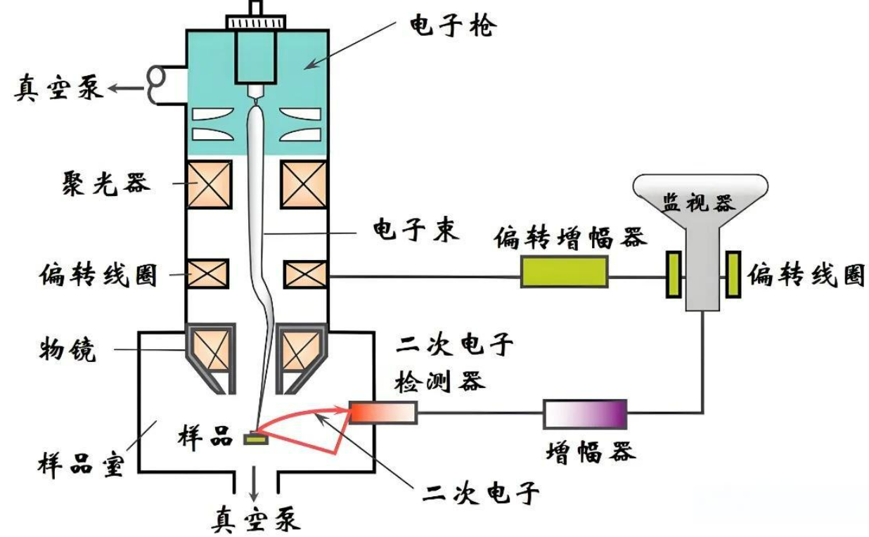 EDS能谱分析 EDS能谱分析