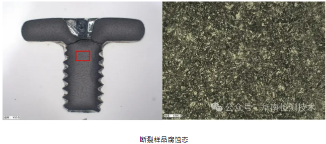 螺丝断裂智博足球官网入口1919网址 螺丝断裂智博足球官网入口1919网址