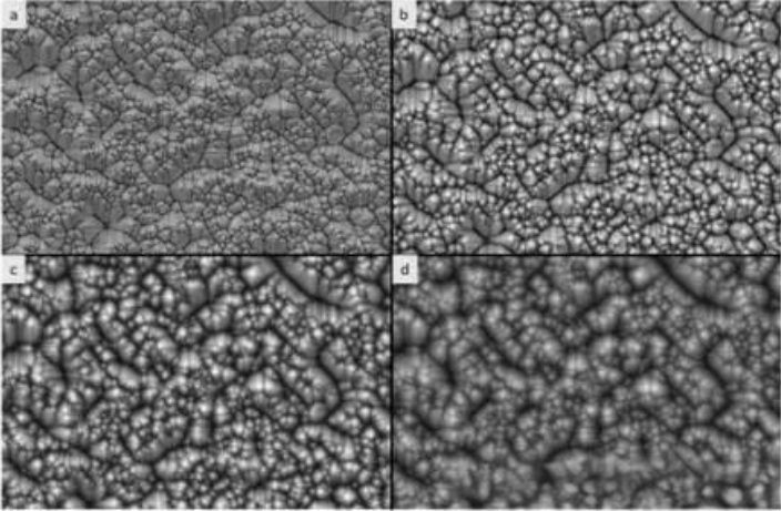 扫描电镜（SEM）分析