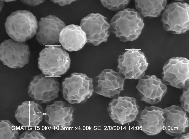 扫描电镜（SEM）分析