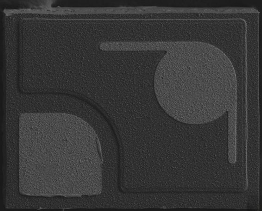 扫描电镜（SEM）分析