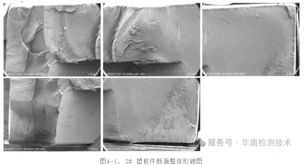 SEM（扫描电子显微镜）观察