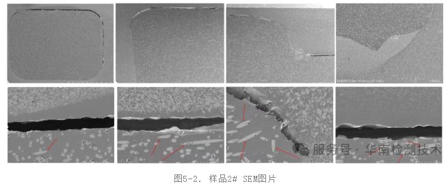 塑料智博足球官网入口1919网址扫描电镜(SEM)形貌2 塑料智博足球官网入口1919网址扫描电镜(SEM)形貌2