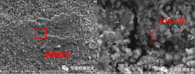 电容智博足球官网入口1919网址SEM微观分析