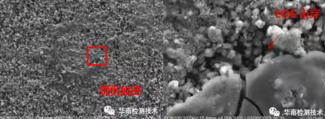 电容智博足球官网入口1919网址SEM微观分析