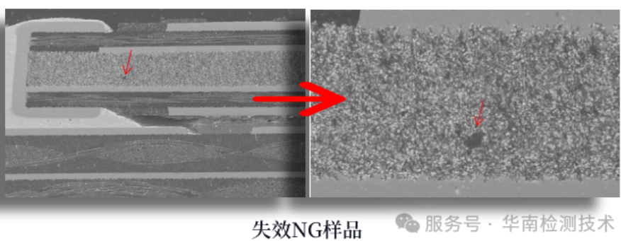 智博足球官网入口1919网址SEM形貌观察