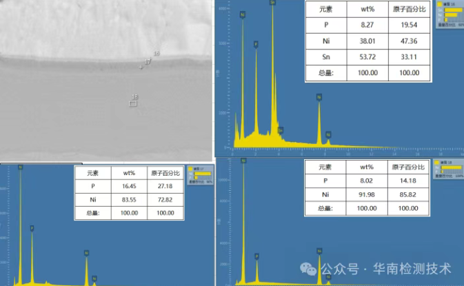 智博足球官网入口1919网址第三步：SEM/EDS，探寻开裂的根源