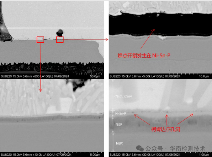 智博足球官网入口1919网址第三步：SEM/EDS，探寻开裂的根源