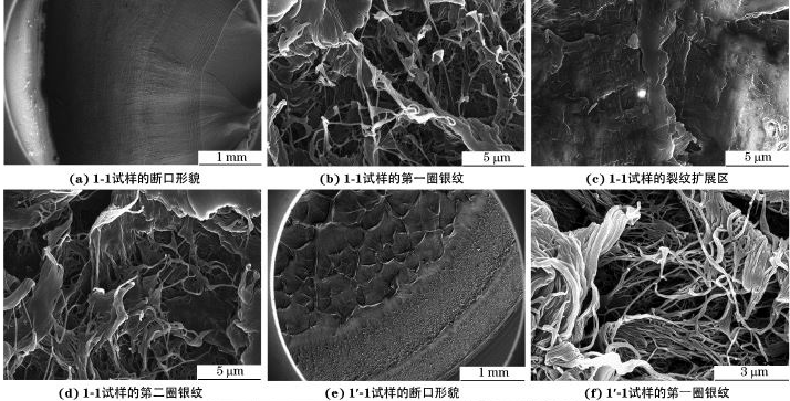 金属材料与构件智博足球官网入口1919网址