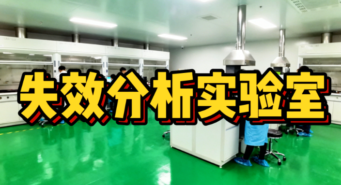 智博足球官网入口1919网址